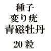 ҡѤļð20γ<img class='new_mark_img2' src='https://img.shop-pro.jp/img/new/icons48.gif' style='border:none;display:inline;margin:0px;padding:0px;width:auto;' />