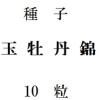 種子　玉牡丹錦　10粒<img class='new_mark_img2' src='https://img.shop-pro.jp/img/new/icons58.gif' style='border:none;display:inline;margin:0px;padding:0px;width:auto;' />