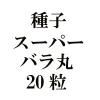 ҡѡХݡ20γ<img class='new_mark_img2' src='https://img.shop-pro.jp/img/new/icons57.gif' style='border:none;display:inline;margin:0px;padding:0px;width:auto;' />