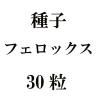 ҡեå30γ<img class='new_mark_img2' src='https://img.shop-pro.jp/img/new/icons48.gif' style='border:none;display:inline;margin:0px;padding:0px;width:auto;' />