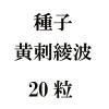ҡɰȡ20γ<img class='new_mark_img2' src='https://img.shop-pro.jp/img/new/icons48.gif' style='border:none;display:inline;margin:0px;padding:0px;width:auto;' />