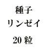 ҡ󥼥20γ<img class='new_mark_img2' src='https://img.shop-pro.jp/img/new/icons48.gif' style='border:none;display:inline;margin:0px;padding:0px;width:auto;' />