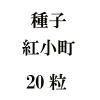 ҡȾĮ20γ<img class='new_mark_img2' src='https://img.shop-pro.jp/img/new/icons57.gif' style='border:none;display:inline;margin:0px;padding:0px;width:auto;' />