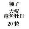 ҡεѲð20γ<img class='new_mark_img2' src='https://img.shop-pro.jp/img/new/icons48.gif' style='border:none;display:inline;margin:0px;padding:0px;width:auto;' />