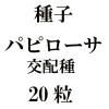 ҡѥԥۼ20γ<img class='new_mark_img2' src='https://img.shop-pro.jp/img/new/icons48.gif' style='border:none;display:inline;margin:0px;padding:0px;width:auto;' />