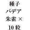 ҡХǥʼˡߡ10γ<img class='new_mark_img2' src='https://img.shop-pro.jp/img/new/icons48.gif' style='border:none;display:inline;margin:0px;padding:0px;width:auto;' />