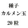 ҡ̡20γ<img class='new_mark_img2' src='https://img.shop-pro.jp/img/new/icons48.gif' style='border:none;display:inline;margin:0px;padding:0px;width:auto;' />