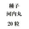 ҡݡ20γ<img class='new_mark_img2' src='https://img.shop-pro.jp/img/new/icons48.gif' style='border:none;display:inline;margin:0px;padding:0px;width:auto;' />
