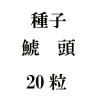 ҡϡƬ20γ<img class='new_mark_img2' src='https://img.shop-pro.jp/img/new/icons48.gif' style='border:none;display:inline;margin:0px;padding:0px;width:auto;' />