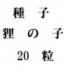 ҡìλҡ20γ<img class='new_mark_img2' src='https://img.shop-pro.jp/img/new/icons5.gif' style='border:none;display:inline;margin:0px;padding:0px;width:auto;' />