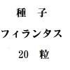ҡե󥿥20γ<img class='new_mark_img2' src='https://img.shop-pro.jp/img/new/icons5.gif' style='border:none;display:inline;margin:0px;padding:0px;width:auto;' />