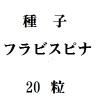 種子　フラビスピナ　20粒<img class='new_mark_img2' src='https://img.shop-pro.jp/img/new/icons57.gif' style='border:none;display:inline;margin:0px;padding:0px;width:auto;' />