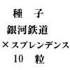 ҡŴƻߡץǥ󥹡10γ<img class='new_mark_img2' src='https://img.shop-pro.jp/img/new/icons48.gif' style='border:none;display:inline;margin:0px;padding:0px;width:auto;' />