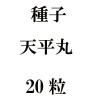 ҡŷʿݡ30γ<img class='new_mark_img2' src='https://img.shop-pro.jp/img/new/icons48.gif' style='border:none;display:inline;margin:0px;padding:0px;width:auto;' />