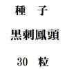 ҡ˱Ƭ30γ<img class='new_mark_img2' src='https://img.shop-pro.jp/img/new/icons48.gif' style='border:none;display:inline;margin:0px;padding:0px;width:auto;' />