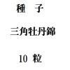 種子　三角牡丹錦　10粒<img class='new_mark_img2' src='https://img.shop-pro.jp/img/new/icons58.gif' style='border:none;display:inline;margin:0px;padding:0px;width:auto;' />