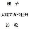 種子　大疣アガベ牡丹　20粒<img class='new_mark_img2' src='https://img.shop-pro.jp/img/new/icons48.gif' style='border:none;display:inline;margin:0px;padding:0px;width:auto;' />