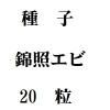 ҡӾȥӡ20γ<img class='new_mark_img2' src='https://img.shop-pro.jp/img/new/icons48.gif' style='border:none;display:inline;margin:0px;padding:0px;width:auto;' />