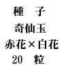 ҡֲ̡֡ߡ֡20γ<img class='new_mark_img2' src='https://img.shop-pro.jp/img/new/icons57.gif' style='border:none;display:inline;margin:0px;padding:0px;width:auto;' />