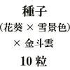 ҡʲ֡ߡʿˡߡͱ10γ<img class='new_mark_img2' src='https://img.shop-pro.jp/img/new/icons48.gif' style='border:none;display:inline;margin:0px;padding:0px;width:auto;' />