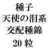 ҡŷȤޥϸۼӡ20γ<img class='new_mark_img2' src='https://img.shop-pro.jp/img/new/icons48.gif' style='border:none;display:inline;margin:0px;padding:0px;width:auto;' />