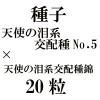 ҡŷȤޥϸۼNo.5ŷȤޥϸۼӡ20γ<img class='new_mark_img2' src='https://img.shop-pro.jp/img/new/icons48.gif' style='border:none;display:inline;margin:0px;padding:0px;width:auto;' />