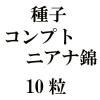 ҡץȥ˥ʶӡ10γ<img class='new_mark_img2' src='https://img.shop-pro.jp/img/new/icons57.gif' style='border:none;display:inline;margin:0px;padding:0px;width:auto;' />