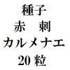 ҡֻɥʥ20γ<img class='new_mark_img2' src='https://img.shop-pro.jp/img/new/icons48.gif' style='border:none;display:inline;margin:0px;padding:0px;width:auto;' />