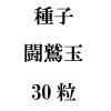 ҡƮɶ̡30γ<img class='new_mark_img2' src='https://img.shop-pro.jp/img/new/icons48.gif' style='border:none;display:inline;margin:0px;padding:0px;width:auto;' />