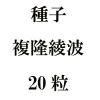 ҡʣδȡ20γ<img class='new_mark_img2' src='https://img.shop-pro.jp/img/new/icons57.gif' style='border:none;display:inline;margin:0px;padding:0px;width:auto;' />