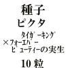 ҡ󥰡ߥեСӥ塼ƥμ10γ<img class='new_mark_img2' src='https://img.shop-pro.jp/img/new/icons48.gif' style='border:none;display:inline;margin:0px;padding:0px;width:auto;' />