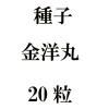 ҡδݡ20γ<img class='new_mark_img2' src='https://img.shop-pro.jp/img/new/icons48.gif' style='border:none;display:inline;margin:0px;padding:0px;width:auto;' />