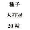 ҡʹ20γ<img class='new_mark_img2' src='https://img.shop-pro.jp/img/new/icons48.gif' style='border:none;display:inline;margin:0px;padding:0px;width:auto;' />