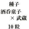 ҡƸҡߡХǥ¢ǡ10γ<img class='new_mark_img2' src='https://img.shop-pro.jp/img/new/icons48.gif' style='border:none;display:inline;margin:0px;padding:0px;width:auto;' />