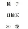 ҡض̡30γ<img class='new_mark_img2' src='https://img.shop-pro.jp/img/new/icons5.gif' style='border:none;display:inline;margin:0px;padding:0px;width:auto;' />