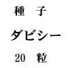 ҡӥ20γ<img class='new_mark_img2' src='https://img.shop-pro.jp/img/new/icons57.gif' style='border:none;display:inline;margin:0px;padding:0px;width:auto;' />