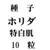 ҡۥȩˡ10γ<img class='new_mark_img2' src='https://img.shop-pro.jp/img/new/icons48.gif' style='border:none;display:inline;margin:0px;padding:0px;width:auto;' />