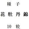 種子　花牡丹錦　10粒<img class='new_mark_img2' src='https://img.shop-pro.jp/img/new/icons48.gif' style='border:none;display:inline;margin:0px;padding:0px;width:auto;' />