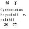 ҡGymnocactus beguuiniiv. smithii30γ<img class='new_mark_img2' src='https://img.shop-pro.jp/img/new/icons5.gif' style='border:none;display:inline;margin:0px;padding:0px;width:auto;' />