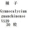 ҡGymnocalyciumguanchinenseVS3930γ<img class='new_mark_img2' src='https://img.shop-pro.jp/img/new/icons48.gif' style='border:none;display:inline;margin:0px;padding:0px;width:auto;' />