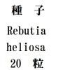 ҡRebutiaheliosa20γ<img class='new_mark_img2' src='https://img.shop-pro.jp/img/new/icons48.gif' style='border:none;display:inline;margin:0px;padding:0px;width:auto;' />
