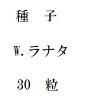 ҡW.ʥ30γ<img class='new_mark_img2' src='https://img.shop-pro.jp/img/new/icons5.gif' style='border:none;display:inline;margin:0px;padding:0px;width:auto;' />