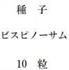ҡP.ӥԥΡࡡ10γ<img class='new_mark_img2' src='https://img.shop-pro.jp/img/new/icons48.gif' style='border:none;display:inline;margin:0px;padding:0px;width:auto;' />