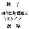 ҡͳѲ˱̡Vסˡ20γ<img class='new_mark_img2' src='https://img.shop-pro.jp/img/new/icons48.gif' style='border:none;display:inline;margin:0px;padding:0px;width:auto;' />