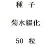 ҡƿֲ50γ<img class='new_mark_img2' src='https://img.shop-pro.jp/img/new/icons48.gif' style='border:none;display:inline;margin:0px;padding:0px;width:auto;' />