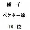 ҡ٥ӡ10γ<img class='new_mark_img2' src='https://img.shop-pro.jp/img/new/icons48.gif' style='border:none;display:inline;margin:0px;padding:0px;width:auto;' />