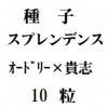 ҡץǥ󥹡ƥɥ꡼ǡߡ֥ץǥ󥹡10γ<img class='new_mark_img2' src='https://img.shop-pro.jp/img/new/icons48.gif' style='border:none;display:inline;margin:0px;padding:0px;width:auto;' />