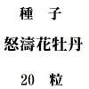 種子　怒濤花牡丹　　20粒<img class='new_mark_img2' src='https://img.shop-pro.jp/img/new/icons48.gif' style='border:none;display:inline;margin:0px;padding:0px;width:auto;' />