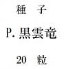 ҡP.ε20γ<img class='new_mark_img2' src='https://img.shop-pro.jp/img/new/icons48.gif' style='border:none;display:inline;margin:0px;padding:0px;width:auto;' />