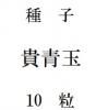 ҡE.Ķ̡10γ<img class='new_mark_img2' src='https://img.shop-pro.jp/img/new/icons48.gif' style='border:none;display:inline;margin:0px;padding:0px;width:auto;' />